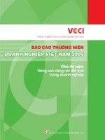bào cáo thường niên doanh nghiệp việt nam 2009