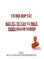 cơ hội hợp tác đầu tư, tư vấn và phát triển doanh nghiệp