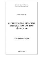 Các phương pháp hiệu chỉnh trong bài toán cân bằng và ứng dụng