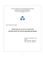 tổng quan vi xử lý lpc2378 hướng dẫn sử dụng board mcb2300