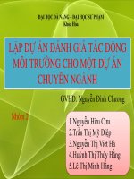 lập dự án đánh giá tác động môi trường cho một dự án chuyên ngành