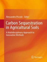 carbon sequestration in agricultural soils a multidisciplinary approach to innovative methods