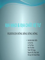 Đặc điểm Pleistocen đồng bằng sông Hồng