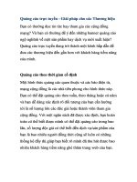 Quảng cáo trực tuyến - Giải pháp cho các Thương hiệu