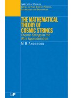 Anderson MR the mathematical theory of cosmic strings