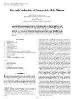 thermal conductivity of nanoparticle fluid mixture