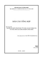 Nghiên cứu một số mô hình tổ chức và hoạt động của tổ chức ươm tạo doanh nghiệp công nghệ