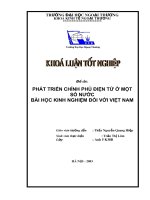 phát triển chính phủ điện tử ở một số nước bài học kinh nghiệm đối với việt nam