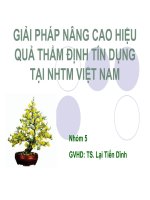 Thuyết trình: Giải pháp nâng cao hiệu quả thẩm định tín dụng tại ngân hàng thương mại Việt Nam