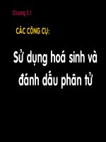 Bài giảng Bảo tồn đa dạng sinh học: Chương 5.1