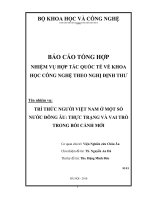 Trí thức người việt nam ở một số nước đông âu  thực trạng và vai trò trong bối cảnh mới