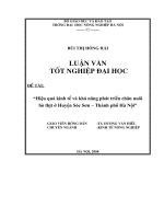 hiệu quả kinh tế và khả năng phát triển chăn nuôi bò thịt ở huyện sóc sơn – thành phố hà nội