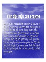 bài giảng công nghệ protein enzyme chương 9 tính đặc hiệu của enzyme