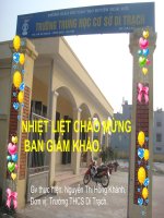 GIáo án bồi dưỡng Hình học 8 Tiết 24 Ôn tập chương I tham khảo