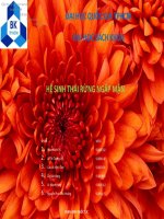 HỆ SINH THÁI RỪNG NGẬP MẶN 