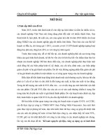 Kế toán nguyên vật liệu, công cụ dụng cụ và tình hình quản lý nguyên vật liệu, công cụ dụng cụ tại công ty TNHH MTV than Thống Nhất-Vinacomin
