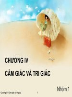 Chương 4 Cảm giác và tri giác