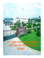 BÁO CÁO XỬ LÝ NƯỚC THẢI Ở NHÀ MÁY CHẾ BIẾN XUẤT KHẨU THỦY SẢN CỦA BẾN TRE FAQUIMEX