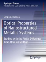 optical properties of nanostructured metallic systems studied with the finite-difference time-domain method