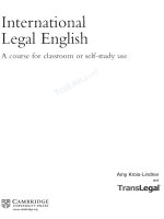 international legal english