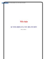 tiểu luận sự năng động của văn hóa tổ chức