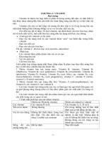 Các Vitamin tan trong chất béo