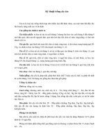 Kỹ thuật trồng cây táo