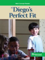 Math Concept Reader MCR g4 diegoâs perfect fit