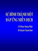 Bài giảng sự hình thành một đáp ứng miễn dịch