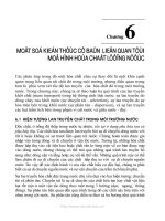 Giáo trình Mô hình hóa môi trường: Phần 2 - TSKH: Bùi Tá Long