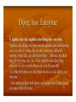 bài giảng công nghệ protein enzyme chương 5 động học enzyme