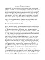 Marketing hỗn hợp