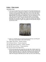 thu nhận protease từ đầu tôm