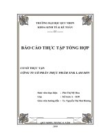 Báo cáo thực tập  công tác kế toán của công  ty cổ phần thực phẩm XNK Lam Sơn