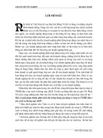 một số giải pháp nhằm phát triển thị trường hàng gia dụng ở công ty tnhh đầu tư sản xuất và thương mại akd