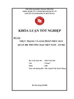 Thực trạng và giải pháp thúc đẩy quan hệ thương mại Việt Nam - Ấn Độ
