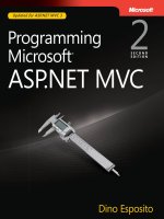 programming microsoft asp.net mvc, 2nd edition [electronic resource]