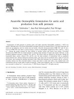 Anaerobic thermophilic fermentation for acetic acid production from milk permeate