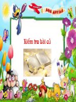 bài 21 mạng toàn cầu - internet