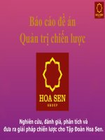 Quản trị chiến lược tập đoàn Hoa Sen