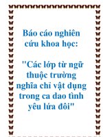 Các lớp từ ngữ thuộc trường nghĩa chỉ vật dụng trong ca dao tình yêu lứa đôi