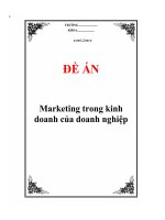Đề án marketing trong kinh doanh của doanh nghiệp