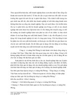 phân tích quản trị vốn lưu động và biện pháp nâng cao hiệu quả vốn lưu động tại công ty xi măng hải phòng