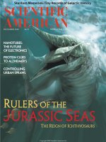scientific american   -  2000 12  -  rulers of the jurassic seas
