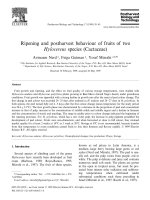 Ripening and postharvest behaviour of fruits of two hylocereus species (cactaceae)