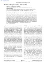 ultrafast double pulse ablation of fused silica