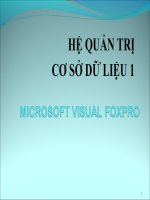 fox5 (form) quản trị cơ sở dữ liệu 1