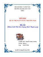 Tiểu luận: Ảnh hưởng của chính sách thuế nhập khẩu lên thị trường ôtô của Việt Nam