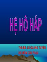 hệ hô hấp