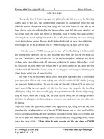 Hoàn thiện kế toán nguyên vật liệu của công ty TNHH thương mại và dịch vụ Vân Hậu